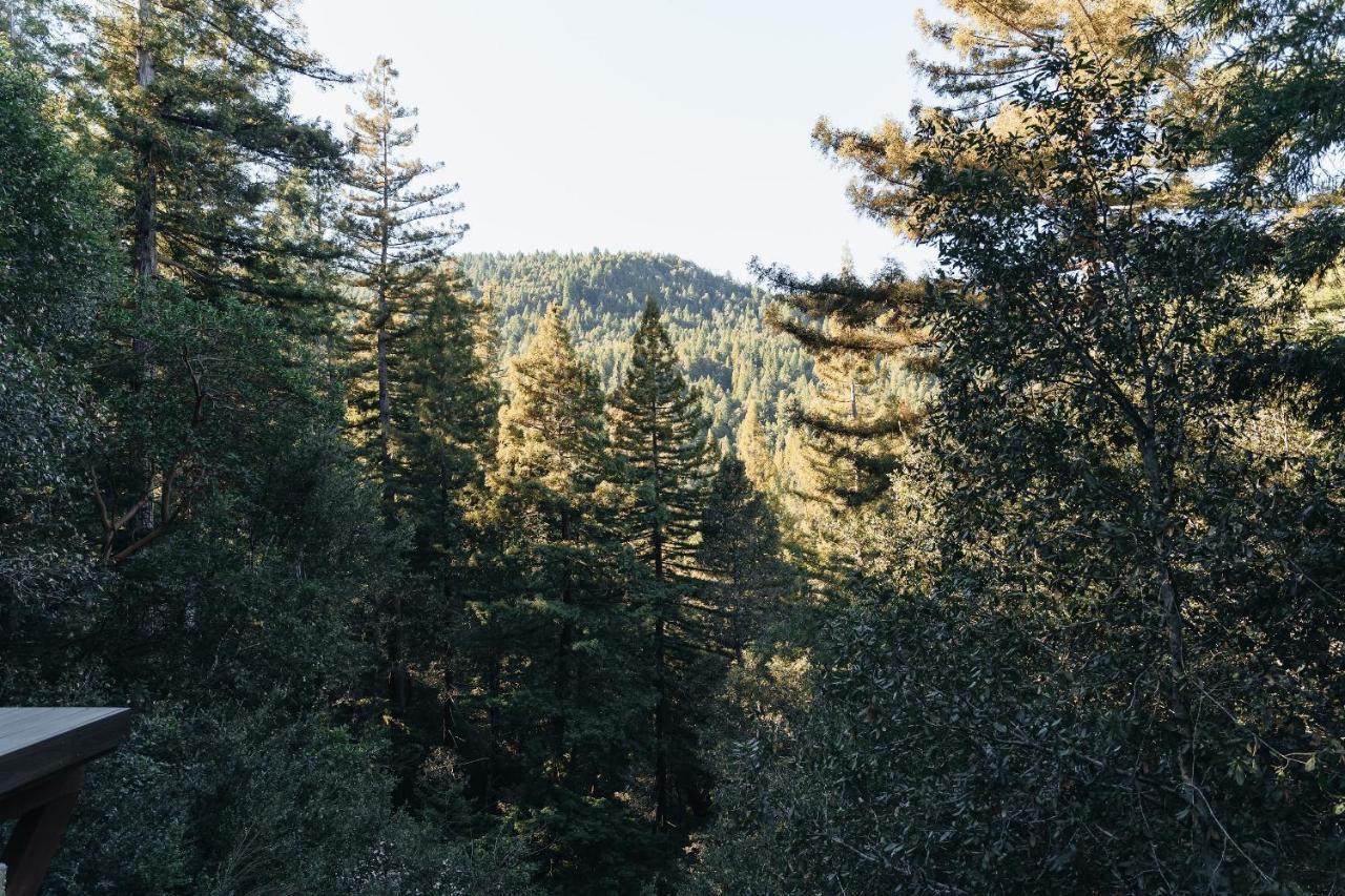 Redwoods River Resort & Campground Leggett Buitenkant foto
